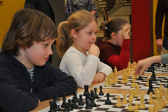 dsc_2540_20170307_1247765814