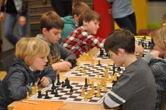 dsc_2549_20170307_1973575062