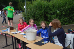 sponsorenlauf16_-_140_20160922_1764966872